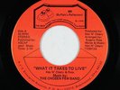 Modern Soul 45 - Chosen Few Band - What It Takes To Live - BR - NM mp3