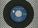 Roy Wright I'm Going Crazy Once In Awhile Sharon 45 Record Chicago Guitar Blues