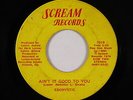 Funk/Sweet Soul 45 - Ebonystic - Ain't It Good To You - Scream - mp3