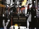 DIXIE CHICKS-TAKING THE LONG WAY (UK IMPORT) VINYL LP NEW