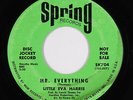 Northern Soul 45 - Little Eva Harris - Mr. Everything - Spring - mp3