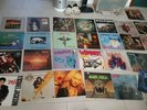 27x LP Rock, Warlock, molly hatchet, morörhead, AC DC, Alice Cooper, Jackson usw