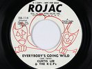 Northern Soul/Funk 45 - Curtis Lee - Everybody's Going Wild - Rojac - VG+ mp3