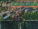`Jody Grind - Far Canal [LP] (180 Gram Audiophile Vinyl, import)` VINYL LP NEW