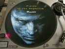 Fields of the Nephilim - Moonchild  12