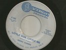 ROCKABILLY CHICK - DIANA DARRIN - LITTLE GUN, LITTLE ME   -HEAR -1962 VIRGO