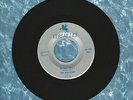 The Fun-Atics Wise Guy I Wanna Know Versailles RA-100 45 Record DOO WOP MINT-