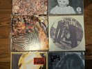 Ty Segall Vinyl • Twins, Sleeper, Emotional Mugger, Fried Shallots & Hair