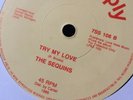 northern soul The Sequins Try My Love