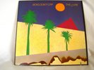 BOY'S DON'T CRY LP Original USA PVC 7916 -1979-