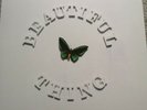 The stone roses Beautiful thing Vinyl Numbered 5517