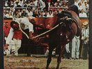 OUTLAWS: Behind The Walls LP (prison band) Country