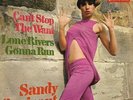 Sandy Sarjeant  Can`t Stop The Wandt