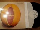 SHELLEYAN ORPHAN Humroot LP ROUGH TRADE Indie Rock UK Import