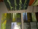 Type o Negative - October Rust 2LP RARE first press