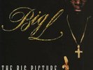 Big L - The Big Picture (1974 - 1999) Vinyl 12