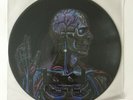 Tool - Lateralus (Picture Disc - PROMO) ONLY 500 MADE