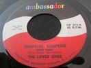 GARAGE PUNK The Loved Ones SURPRISE SURPRISE Ambassador 45 New Jersey rare
