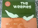 The Weepies 