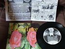 Broilers Schenk Mir Eine Blume Vinyl LP Single