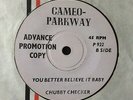 CHUBBY CHECKER: DEMO COPY 