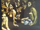 The Jimi Hendrix Experience Electric Ladyland Double Vinyl LP. Brand New.