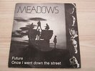 Single / Meadows ?– Future  / AUSTRIA -  Garage Rock, Beat / TOP RARITÄT /