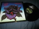 Thin Lizzy Black Rose  LP