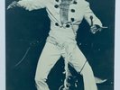 ELVIS PRESLEY - GENUINE INTERNATIONAL POST CARD AS SOLD AT THE SHOWS.