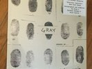 GRAY - Shades Of 2010 Signed / Numbered (998) Basquiat MINT SEALED oop LP vinyl