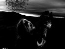 Drowning The Light The Serpents Reign  Vinyl, LP, Album, Black