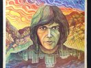 NEIL YOUNG Neil Young UK 2nd NO NAME RSLP 6317 REPRISE A-1 / B-1 1969 VINYL LP
