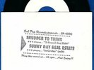 Sunny Day Real Estate/Shudder to Think 
