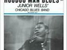 JUNIOR WELLS: HOODOO MAN BLUES (LP vinyl *BRAND NEW*.)