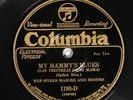 Reb Spikes Majors and Minors COLUMBIA 1193-D PRE WAR JAZZ 78