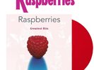 Raspberries Greatest Hits 180 Gram Audiophile Vinyl, Raspberry Colored LP