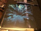 Hum - Downward Is Heavenward Exclusive Limited Edition 180 Gram Blue 2x LP Vinyl