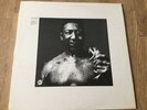 Muddy Waters After The Rain Vinyl LP LPS-320 1969