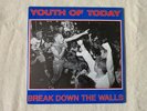 Youth Of Today Break Down The Walls Wishingwell WW4 1st Press LP Insert NM- sxe