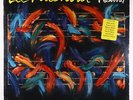 Lee Ritenour - Festival LP - GRP SEALED