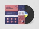 Purple Mountains - All My Happiness is Gone // Vinyl 12