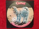 Camel  
