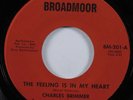 Crossover Soul 45 CHARLES BRIMMER The Feeling Is In My Heart BROADMOOR HEAR