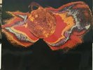 Schicke Fuhrs Frohling - Sunburst - 1977 Brain LP Krautrock Prog Psych Nice