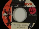 Maytals/Beverley's All Stars 