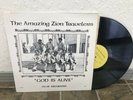 Rare The Amazing Zion Travelers 