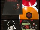 THE REAL McKENZIES Shine,Not Burn LP/325 FAT punk nofx dropkick murphys uk subs