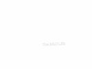 The Beatles - White Album Double (NEW & SEALED) Vinyl LP