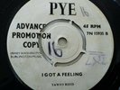 TAWNY REED - NEEDLE IN A HAYSTACK /I GOT A FEELING - RARE UK PYE DEMO