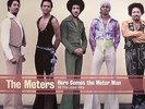 METERS, The - Here Comes The Meter Man: All The Josie Hits - Vinyl (LP)